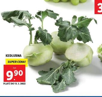 Lidl Kedlubna nabídka