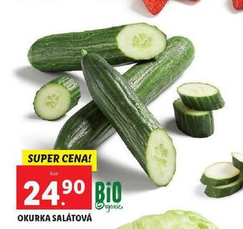 Lidl Okurka salátová nabídka