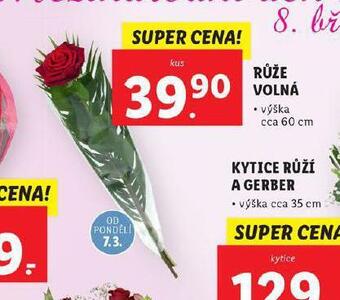 Lidl Růže volná nabídka
