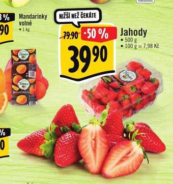 Jip Jahody nabídka