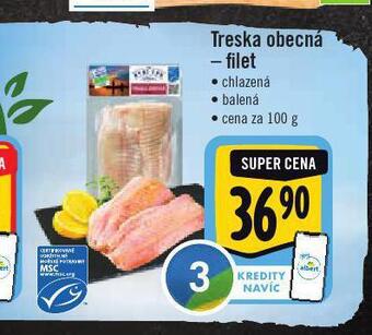 Jip Treska obecná nabídka