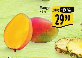 Albert Mango nabídka