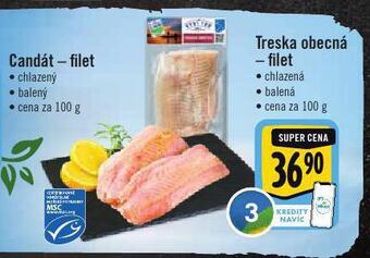 Albert Treska obecná nabídka