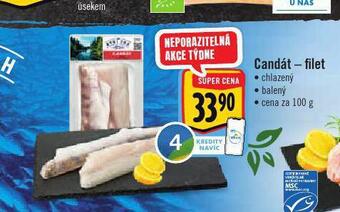 Albert Candát nabídka