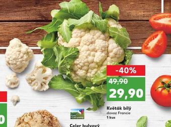 Kaufland Květák bílý nabídka