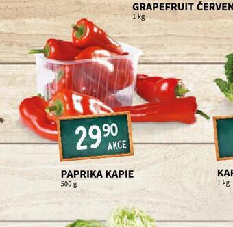 Terno Paprika kapie nabídka
