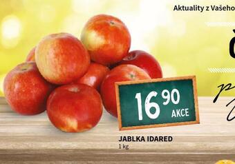 Terno Jablka idared nabídka