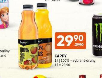 Terno Cappy nabídka