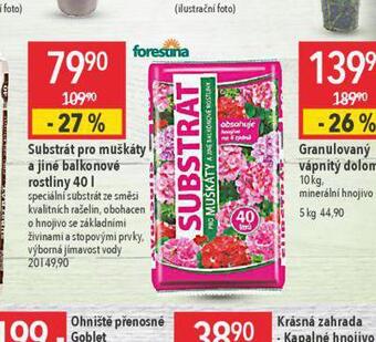 Globus Substrát pro muškáty a jiné balkonové rostliny nabídka
