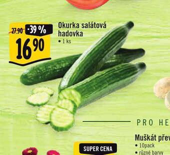 Jip Okurka salátová hadovka nabídka