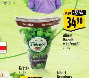 Albert Bazalka v kořenáči nabídka