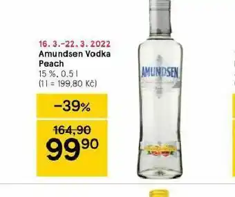Tesco Amundsen vodka peach nabídka