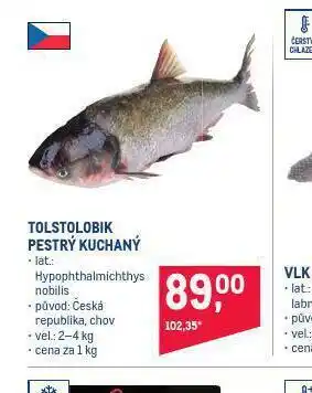 Makro Tolstolobik pestrý kuchaný nabídka