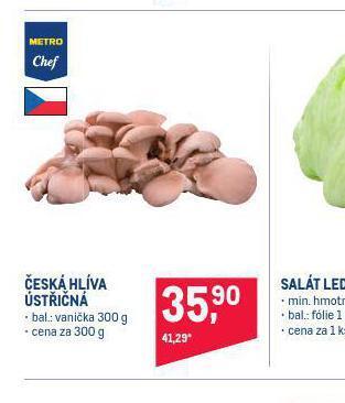 Makro Česká hlíva ústřičná nabídka