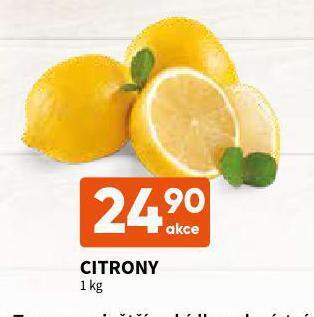 Terno Citrony nabídka