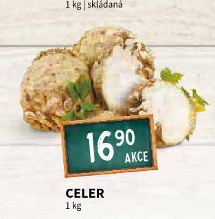 Terno Celer nabídka