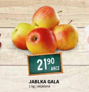 Terno Jablka gala nabídka