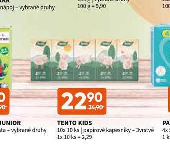 Terno Tento papírové kapesníky nabídka