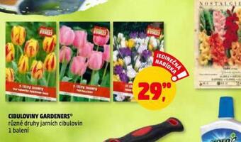 Penny Market Cibuloviny gardeners nabídka