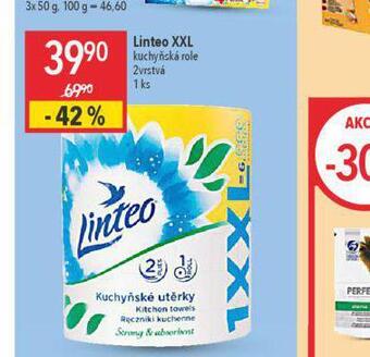 Globus Linteo xxl kuchyňské role nabídka