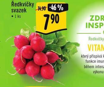 Jip Ředkvičky nabídka