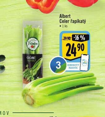 Albert Celer řapíkatý nabídka