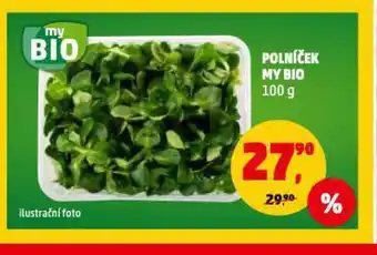 Polníček