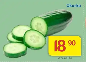 Kubík potraviny Okurka 1ks nabídka
