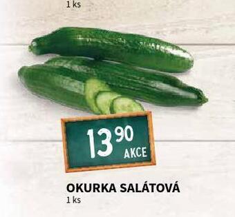 Terno Okurka salátová nabídka