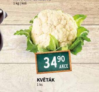 Terno Květák nabídka