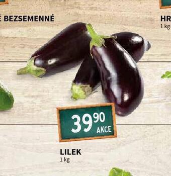 Terno Lilek nabídka