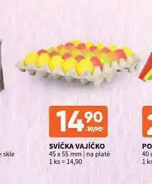 Terno Svíčka vajíčko nabídka