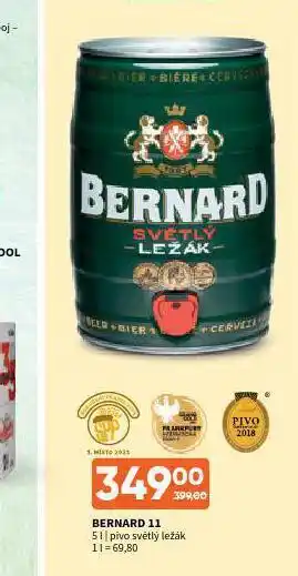 Terno Pivo bernard 11 nabídka