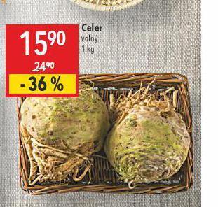 Globus Celer nabídka