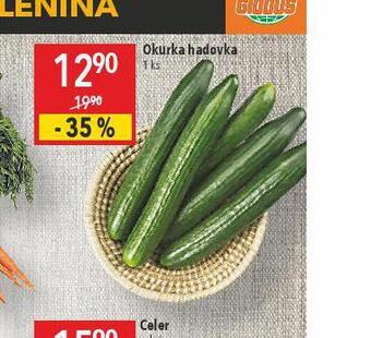 Globus Okurka hadovka nabídka