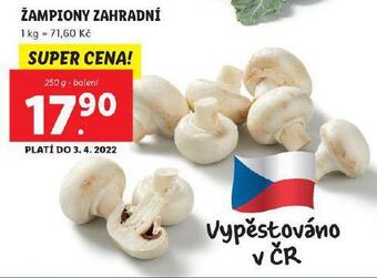 Lidl Žampiony zahradní nabídka