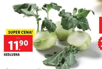 Lidl Kedlubna nabídka