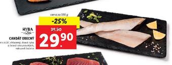 Lidl Candát obecný nabídka