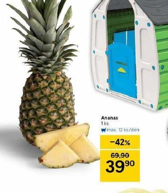 Tesco Ananas nabídka