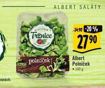 Albert Polníček nabídka