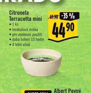 Albert Citronela terracotta mini nabídka
