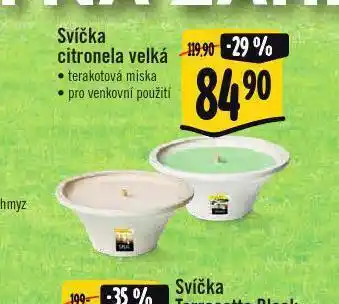 Albert Svíčka citronela velká nabídka