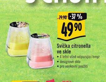 Albert Svíčka citronella ve skle nabídka