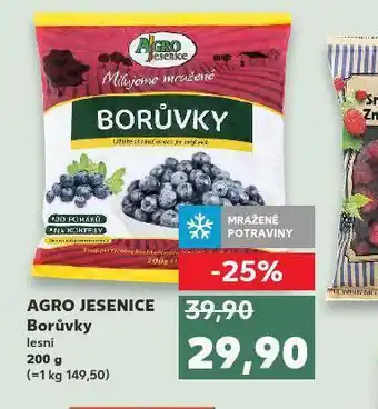 Kaufland Borůvky lesní nabídka