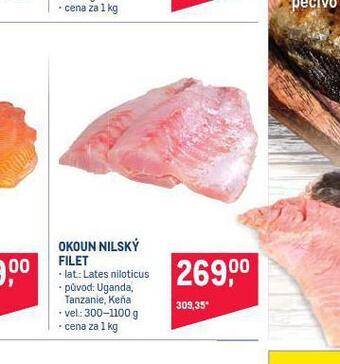 Makro Okoun nilský filet nabídka