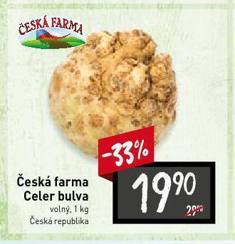 Celer bulva