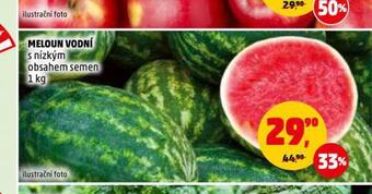 Penny Market Meloun vodní nabídka