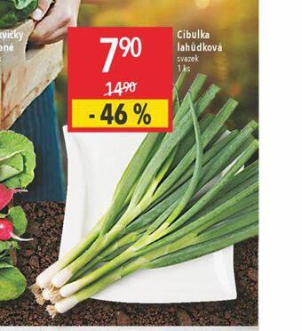 Globus Cibulka lahůdková nabídka
