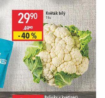 Globus Květák bílý nabídka