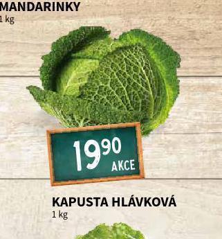 Terno Kapusta hlávková nabídka